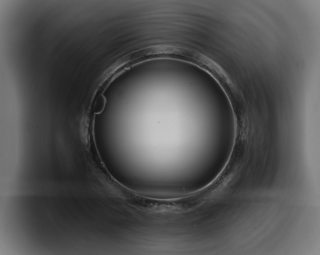 X0000100490786200806131249