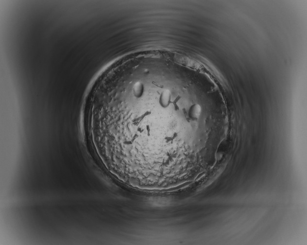 X0000100490788200806131249