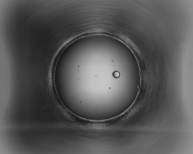 X0000100490789200806131249