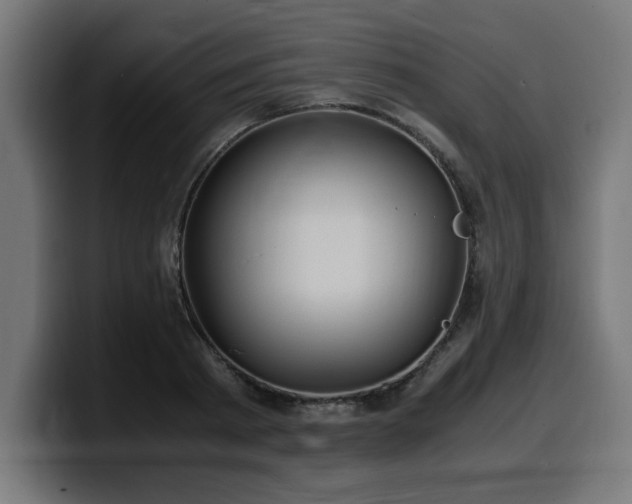 X0000100490793200806131249
