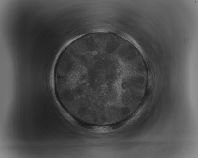 X0000100490795200806131249