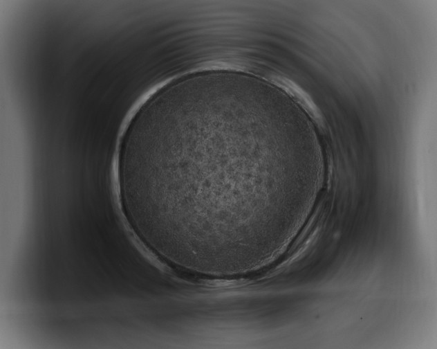 X0000100490796200806131249