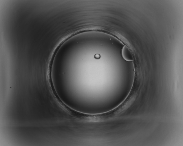 X0000100490797200806131249