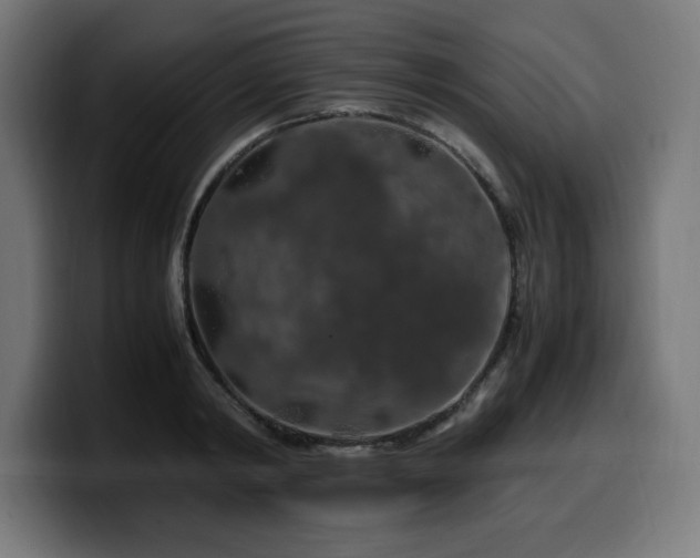 X0000100490798200806131249