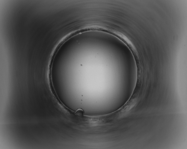 X0000100490799200806131249