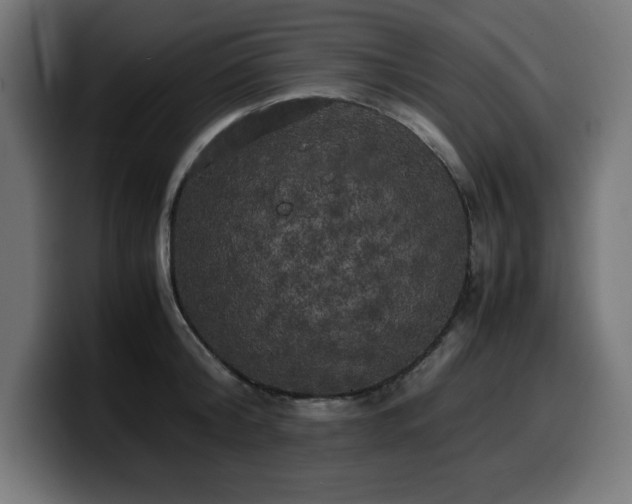 X0000100490804200806131249