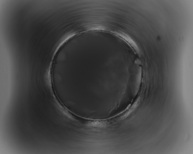 X0000100490806200806131249