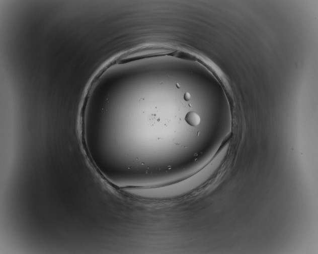 X0000100490807200806131249