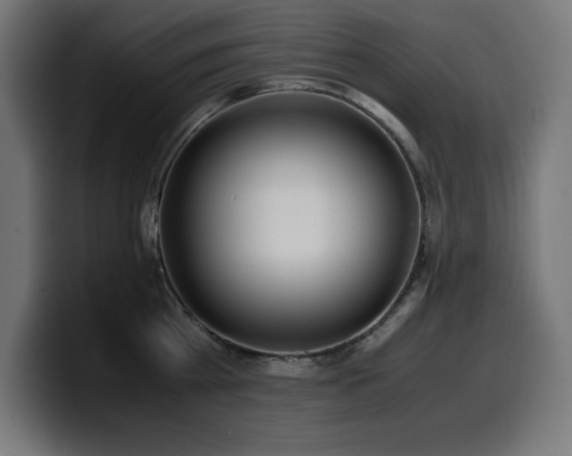 X0000100490809200806131249