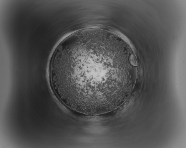 X0000100490811200806131249
