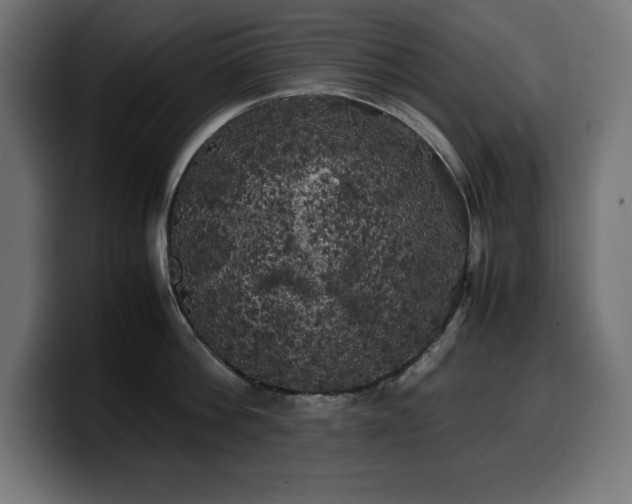 X0000100490812200806131249