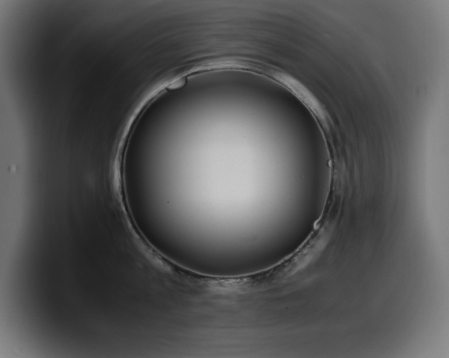 X0000100490813200806131249