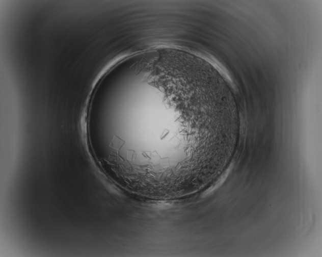 X0000100490814200806131249