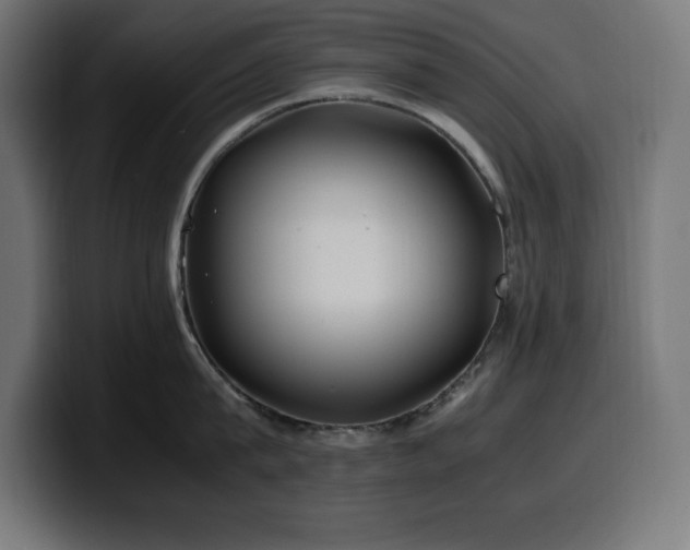 X0000100490815200806131249