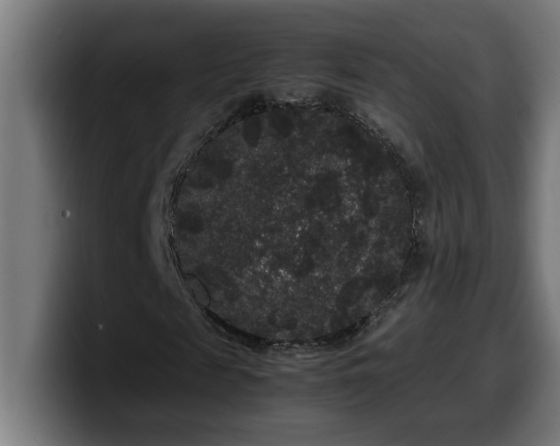 X0000100490817200806131248