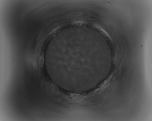 X0000100490821200806131248