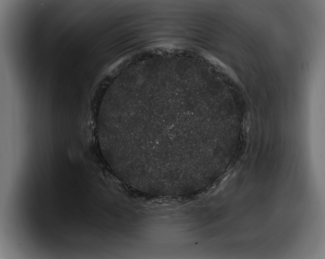 X0000100490822200806131248