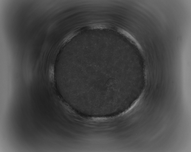 X0000100490825200806131248