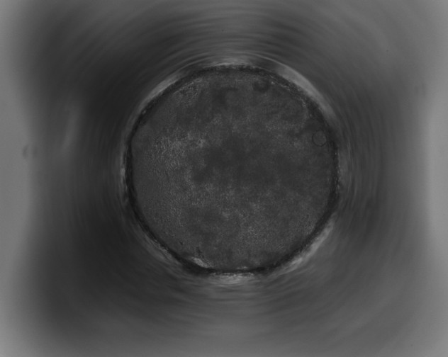 X0000100490826200806131248