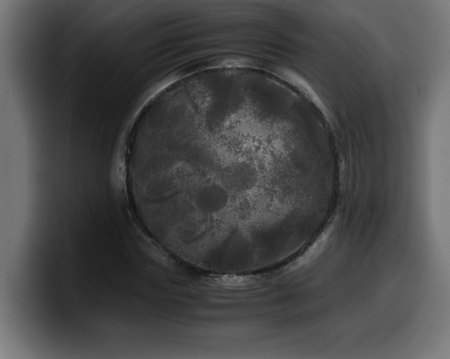 X0000100490827200806131248