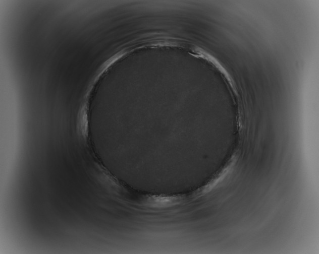 X0000100490829200806131248