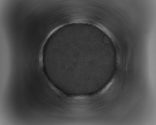 X0000100490830200806131248