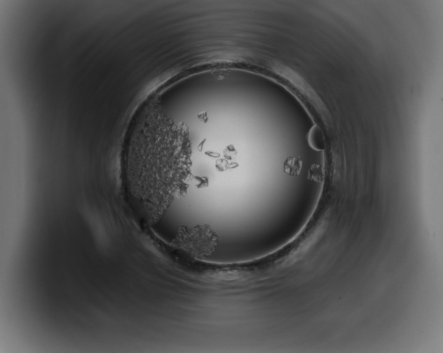 X0000100490834200806131248
