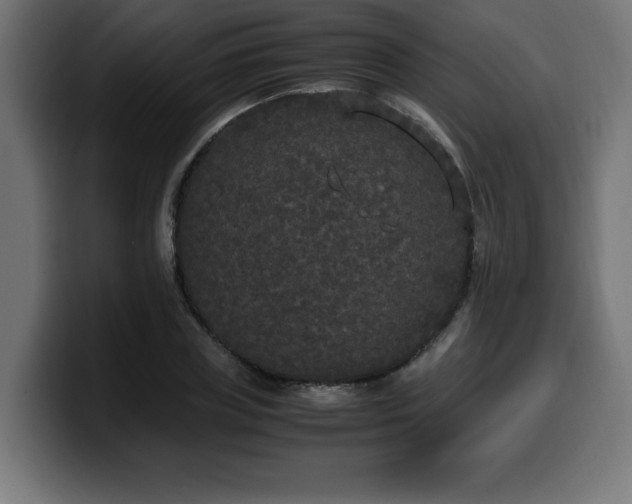 X0000100490835200806131248