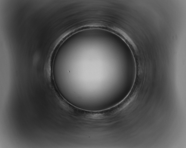 X0000100490837200806131248
