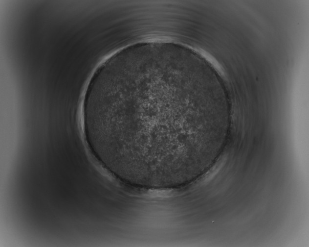 X0000100490840200806131248
