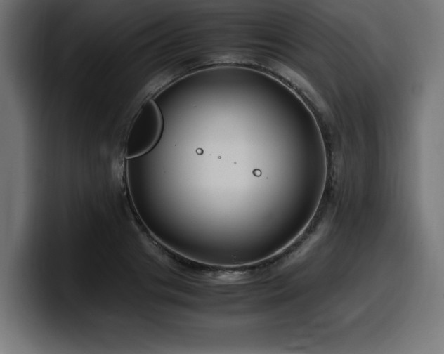 X0000100490841200806131248