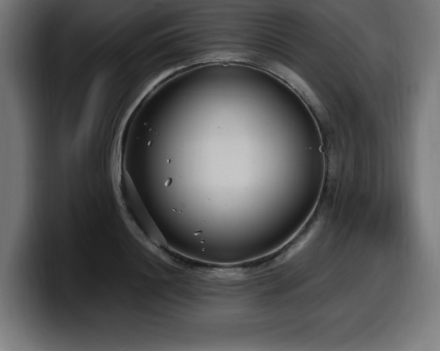 X0000100490844200806131248