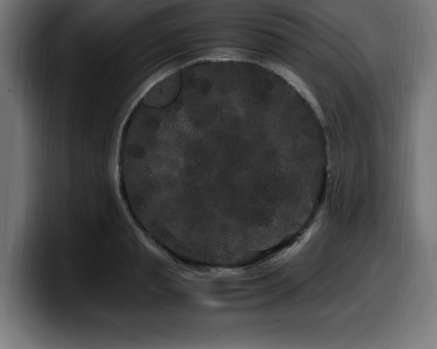 X0000100490845200806131248