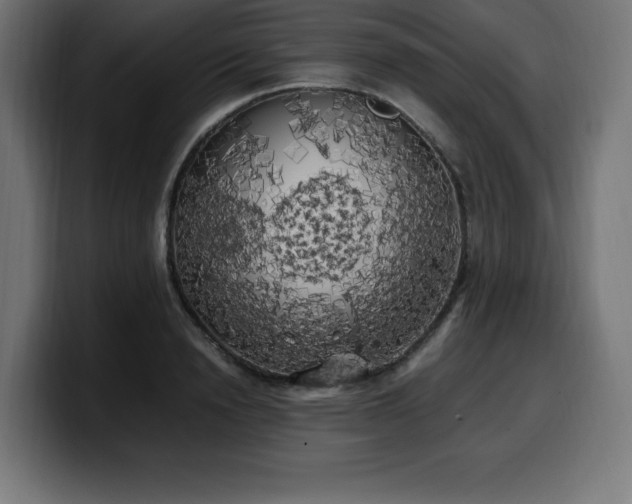 X0000100490846200806131248