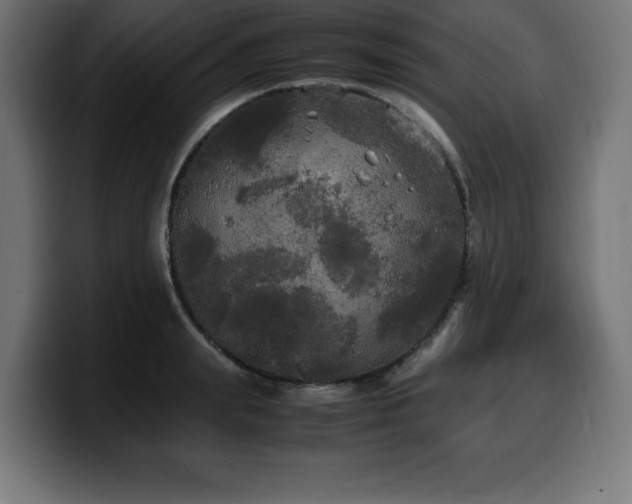 X0000100490847200806131248