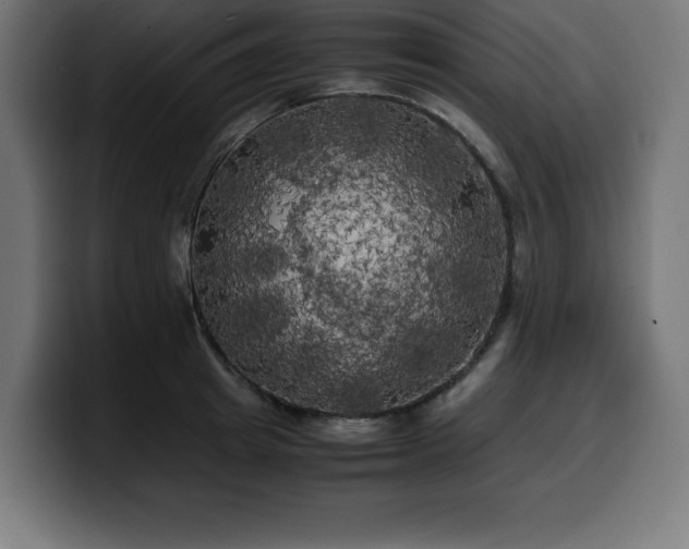X0000100490849200806131248