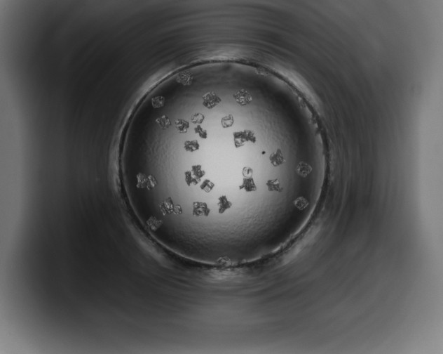 X0000100490850200806131248