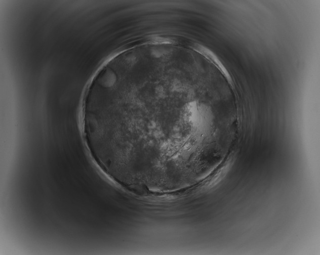 X0000100490851200806131248