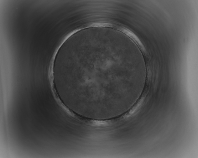 X0000100490852200806131248