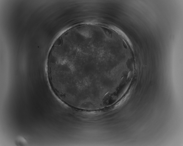 X0000100490855200806131248