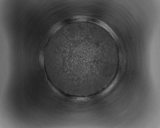 X0000100490857200806131248