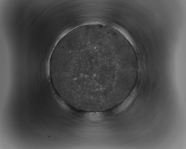X0000100490858200806131248