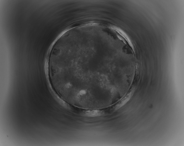 X0000100490859200806131248