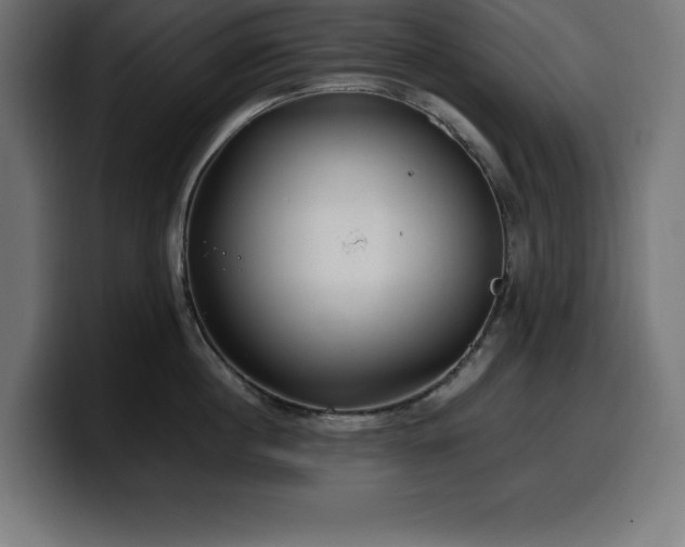 X0000100490860200806131248