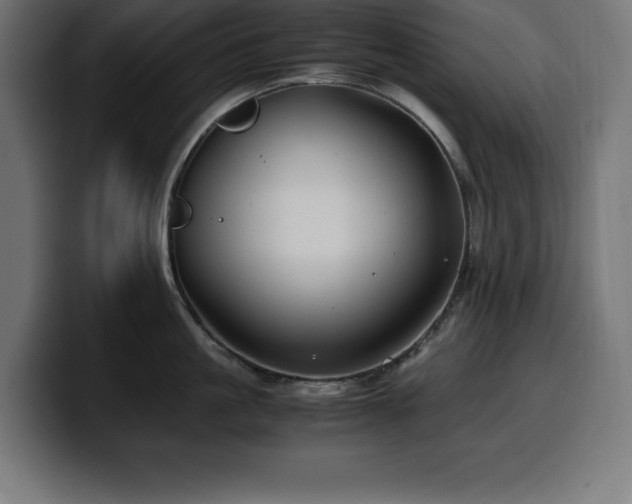 X0000100490861200806131248