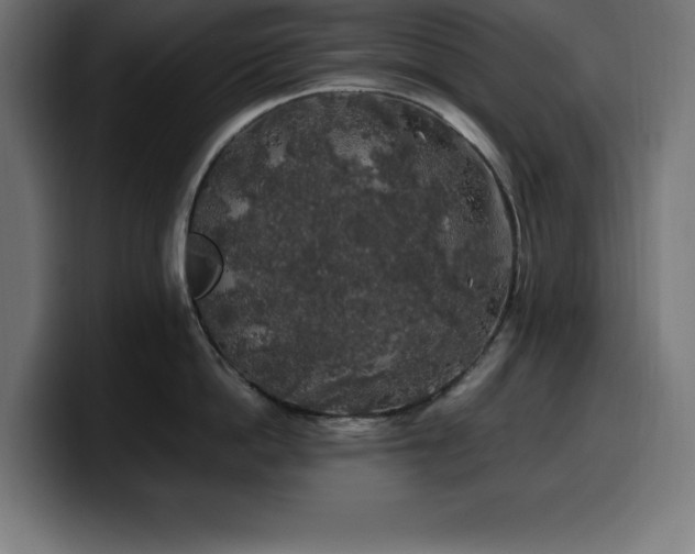 X0000100490862200806131248