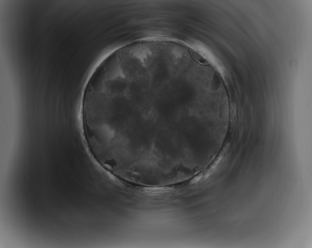 X0000100490863200806131248