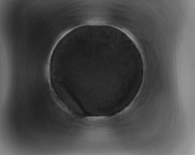 X0000100490864200806131249