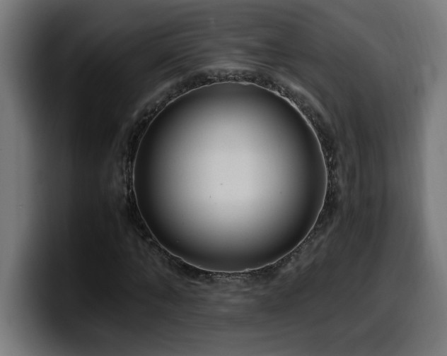 X0000100490870200806131248