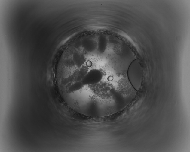 X0000100490871200806131248